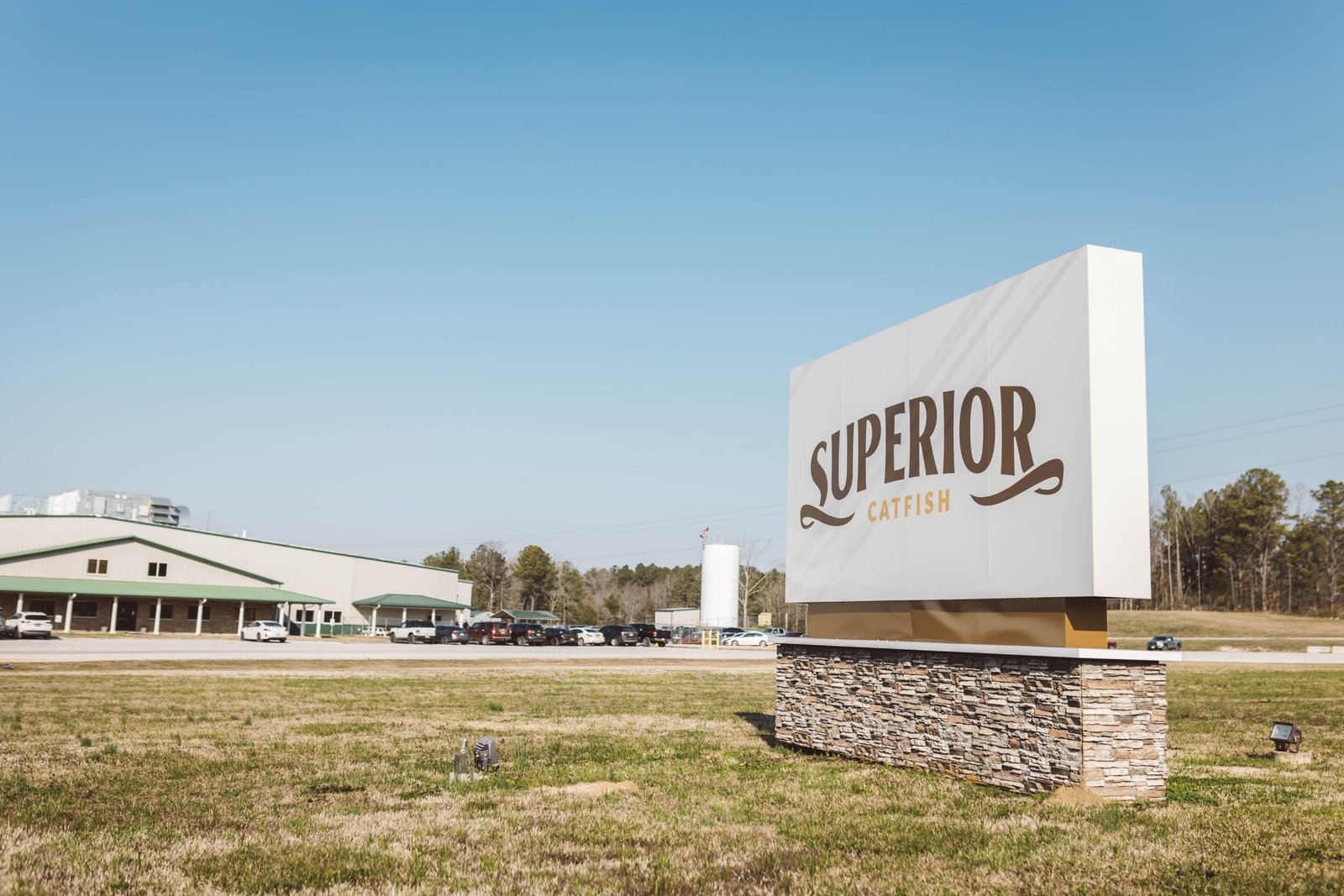 Superior Catfish — Superior Catfish